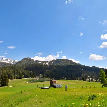 Apartment Al Passo Madonna di Campiglio